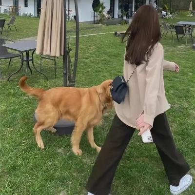 坏老板